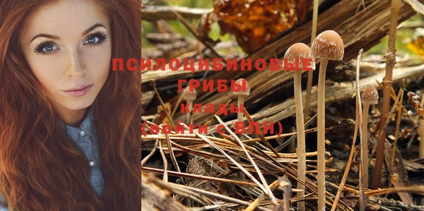 PSILOCYBIN Заволжье