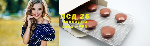 PSILOCYBIN Заволжье