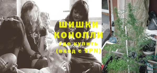 PSILOCYBIN Заволжье