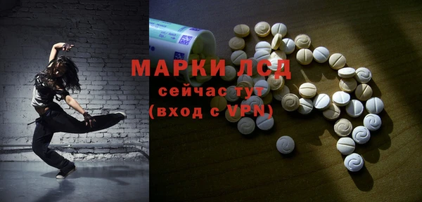 PSILOCYBIN Заволжье